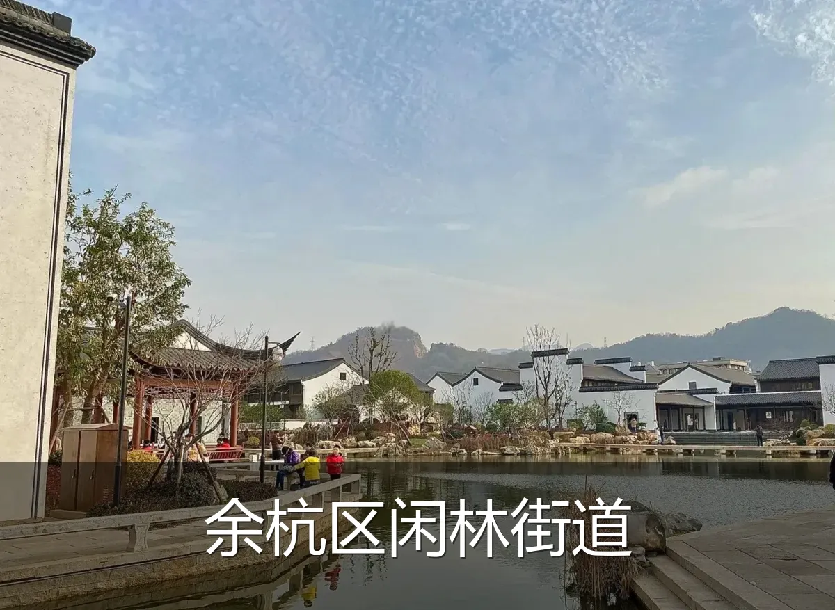余杭区闲林街道